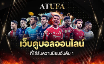 เว็บดูบอล